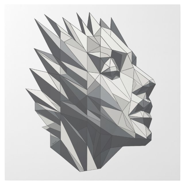 Face of a polygonal woman gallery wrap (Front)