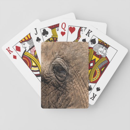 Face of an Elephant Poker Cards