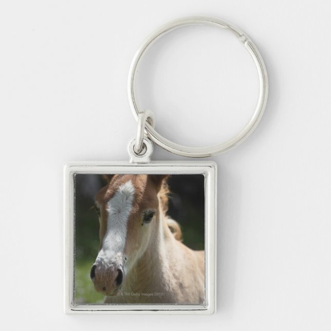 face of foal keychain (Front)