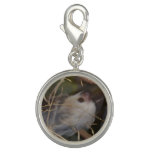 Face of Sloth Charm