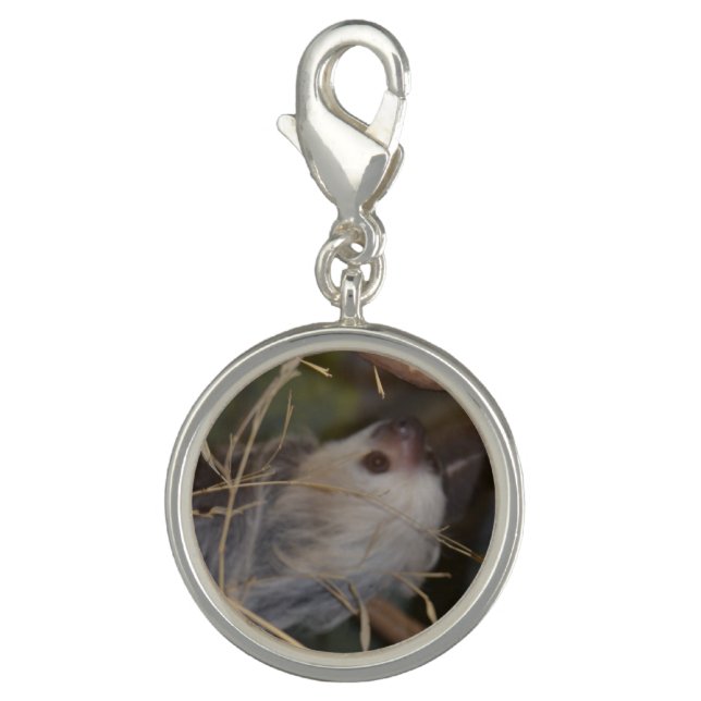 Face of Sloth Charm (Front)
