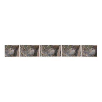 Face Of Sloth Grosgrain Ribbon by WildlifeAnimals at Zazzle