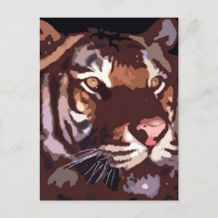 Face of Tiger Postcard