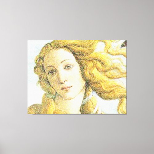 Face of Venus Canvas Print