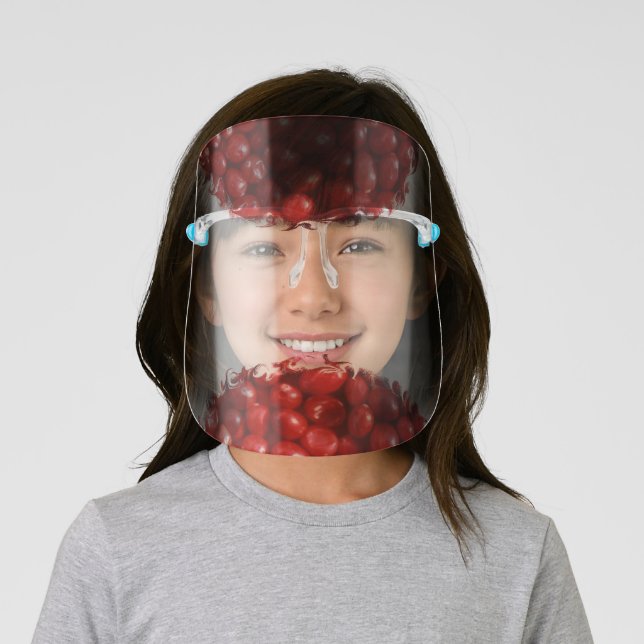 Face Shield (Insitu)