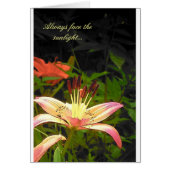 Face The Sunlight (Front)