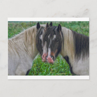 Face to Face Postcard