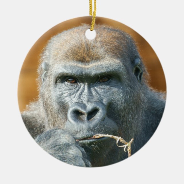 Face-to-Face with a Gorilla Ceramic Ornament (Front)