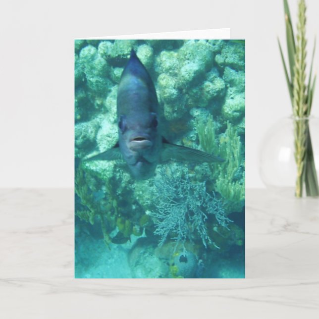 Face-to-Fish Card (Front)