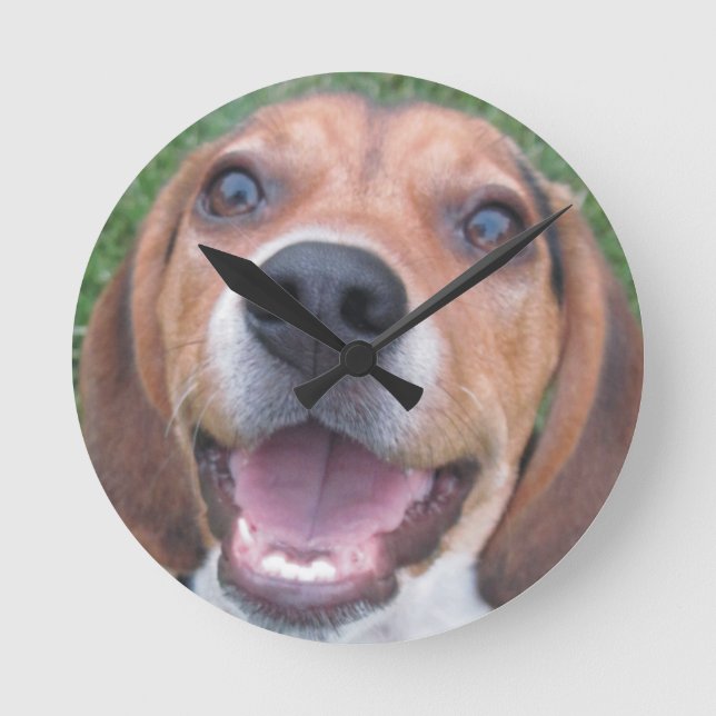 Faced Beagle Puppy Clock (Front)