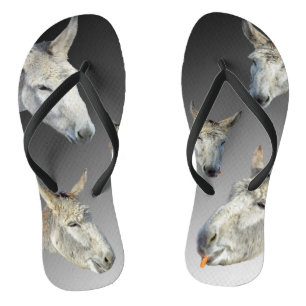 Faces Of A White Donkey, Flip Flops