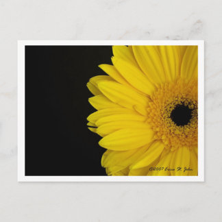 Facing Simpleness Postcard
