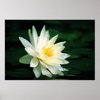 Facing the Sun Poster