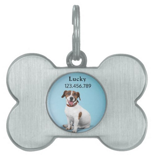Fack Russell Terrier  Pet ID Tag