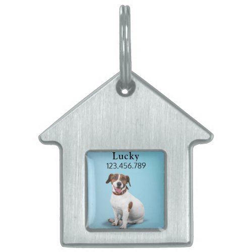 Fack Russell Terrier  Pet ID Tag