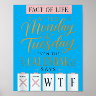 Fact Of Life Calendar Says What On Earth Humor Poster