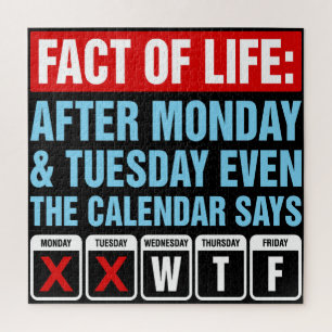 Fact of Life Calendar Says WTF Humor Jigsaw Puzzle