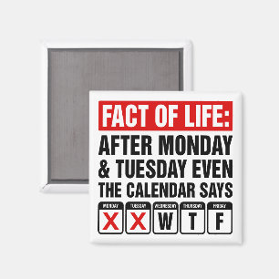 Fact of Life Calendar Says WTF Humor Magnet
