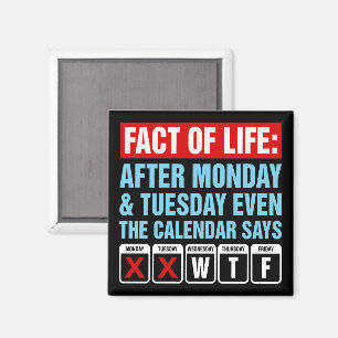 Fact of Life Calendar Says WTF Humor Magnet