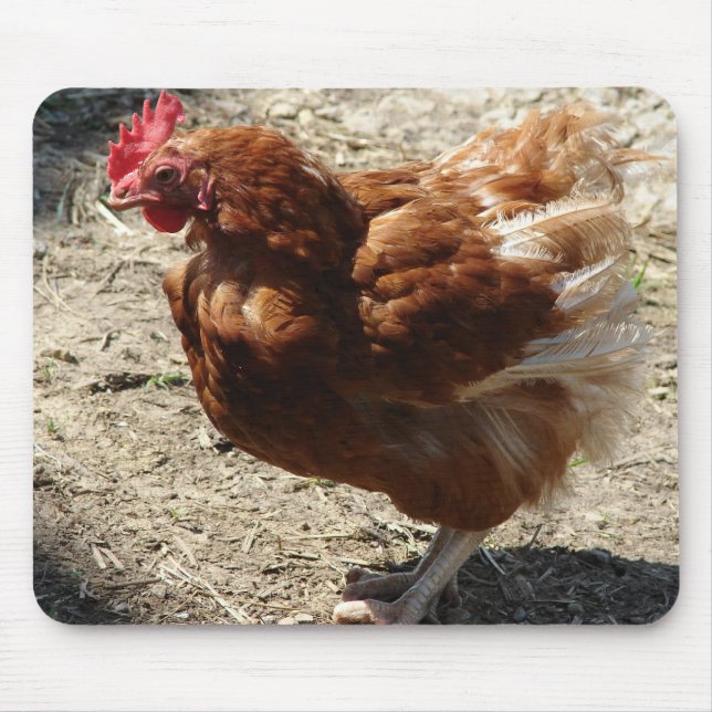Factory Farm Hen Mouse Pad (Front)