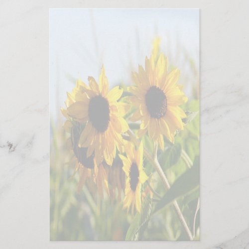Faded Autumn Sunflowers Stationery