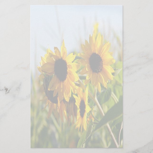 Faded Autumn Sunflowers Stationery (Front)