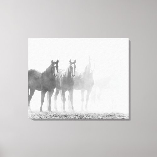 Faded Black and White Horses Triptych Canvas Print