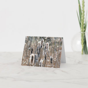 Faded Cattails Nature Photography Note Card