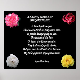FADED FLOWER FORGOTTEN LOVE POEM POSTER