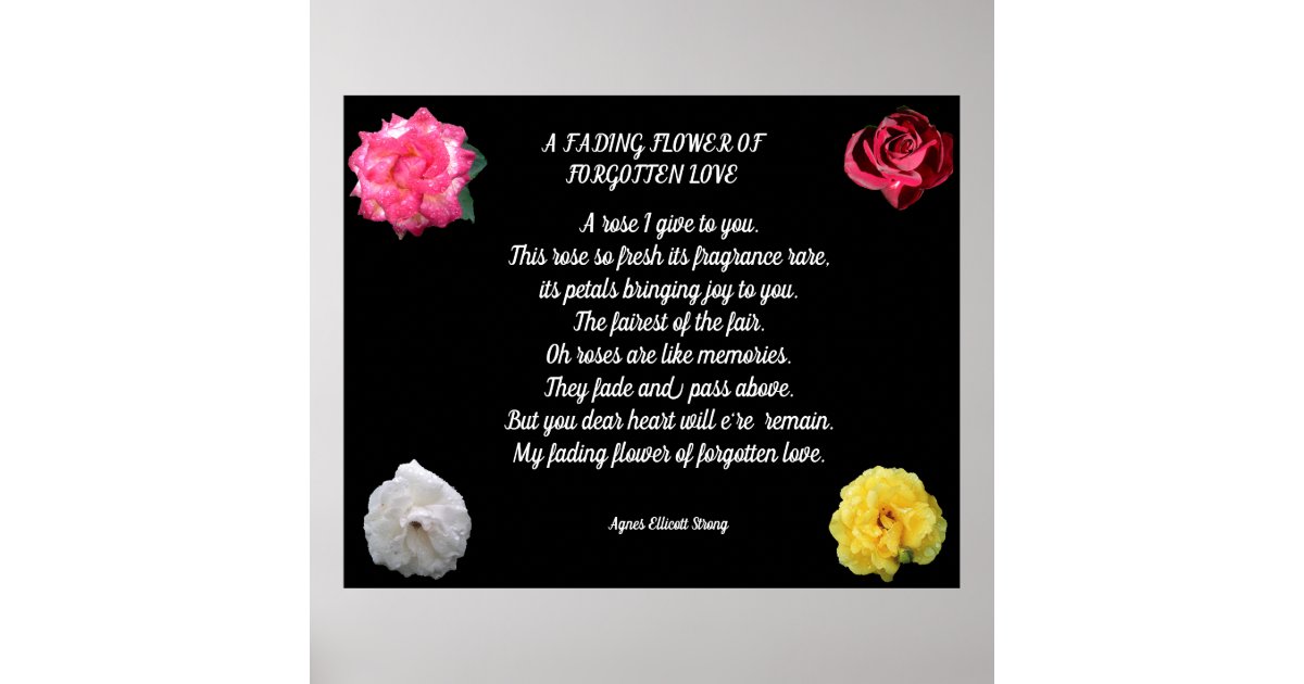 FADED FLOWER LOVE POEM POSTER Zazzle