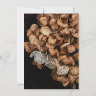 Faded Hydrangea Note Card