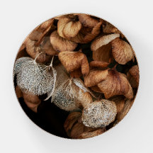 Faded Hydrangea Round  Paperweight