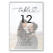 Faded Photo Seating Chart Names Wedding Sign