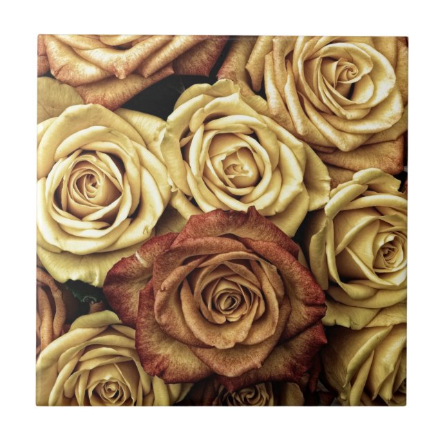 Faded Sepia Roses Ceramic Tile (Front)