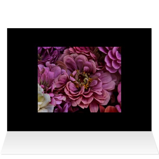 Faded Zinnias (Inside Horizontal (Top))