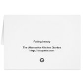 Fading Beauty Cards (Back Horizontal)