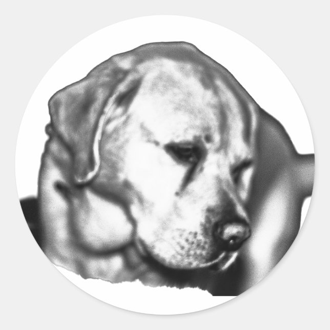 Fading Gaze Classic Round Sticker (Front)