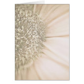 Fading into Gold (Front)