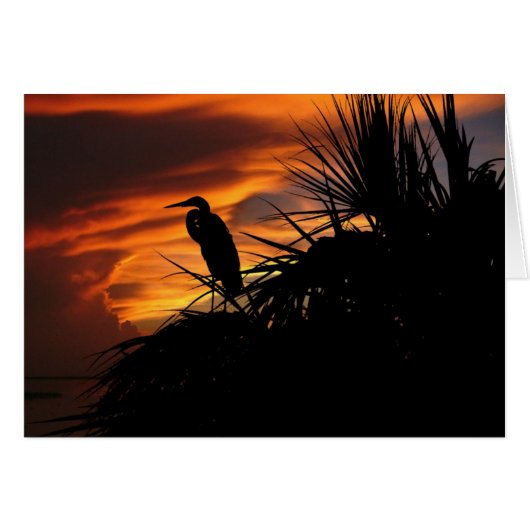 Fading Light Cards (Front Horizontal)