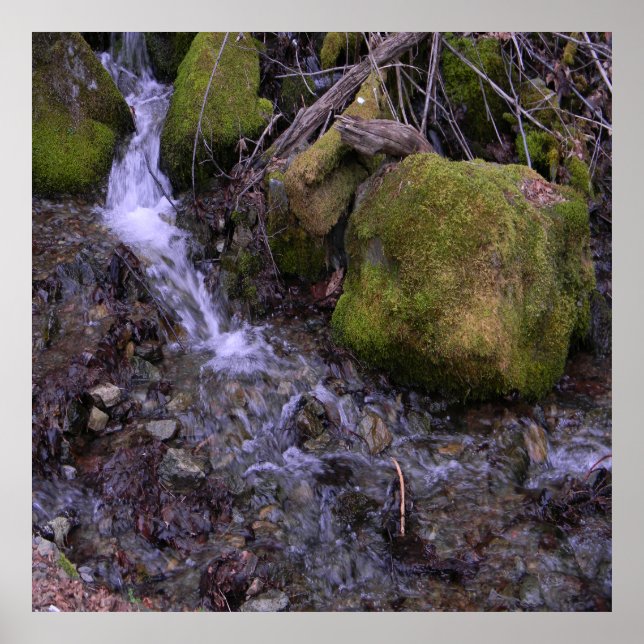 Fae's waterfall...... poster (Front)