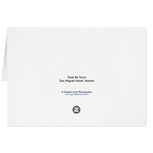 Faial da Terra (Back Horizontal)