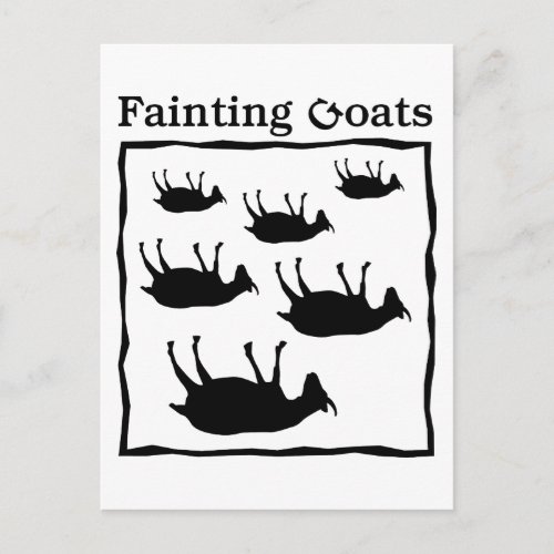 Fainting Goats Postcard