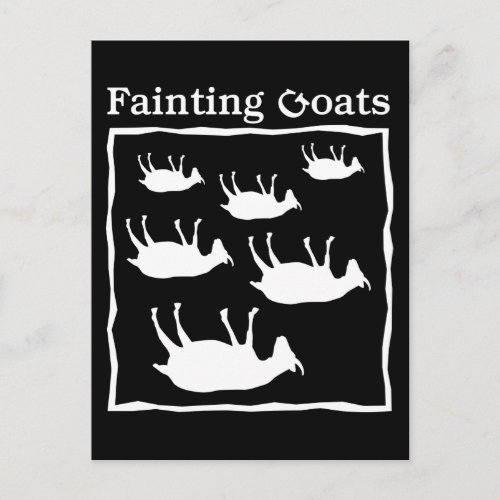 Fainting Goats Postcard