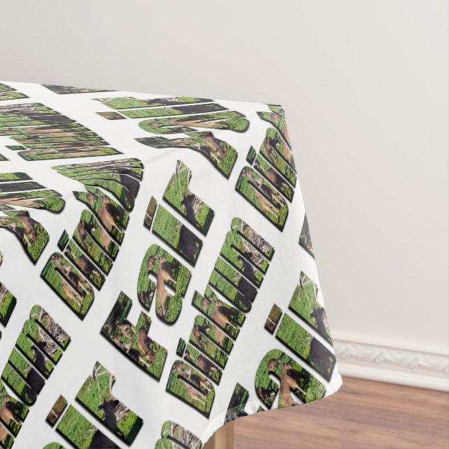 Fair Dinkum Aussie Slang Word With Kangaroos, Tablecloth (In Situ)