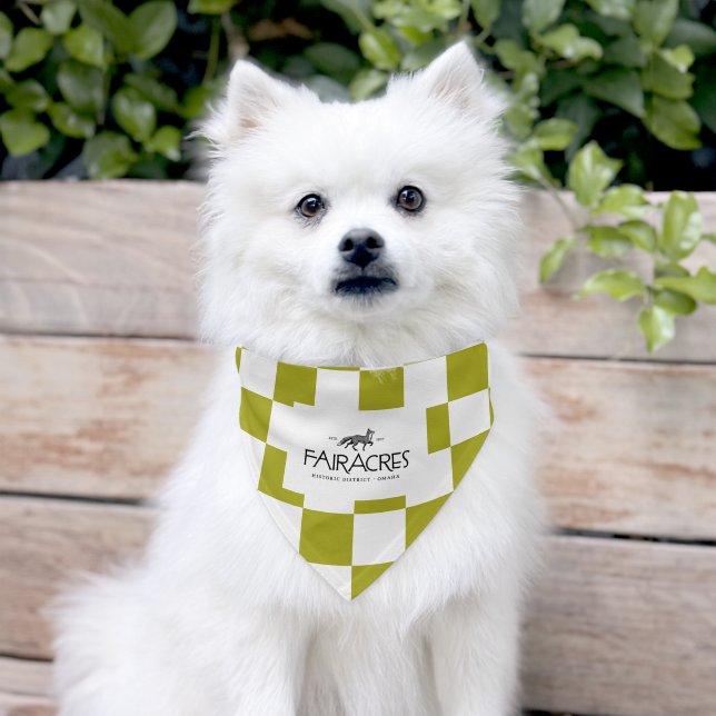Fairacres Pet Bandana Green and White Pet Bandana Collar (Dog)