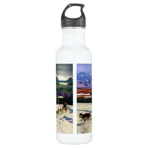 Fairbanks Alaska Collage Stainless Steel Water Bottle