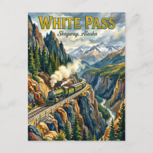 Fairbanks Aurora USA Postcard