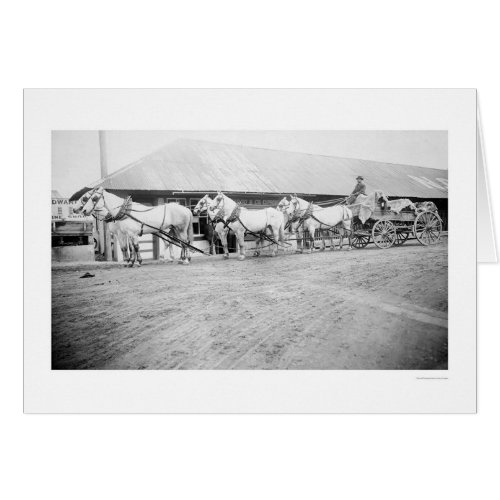 Fairbanks Horse Team 1915