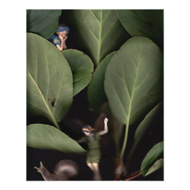 Fairies 7 poster (Front)