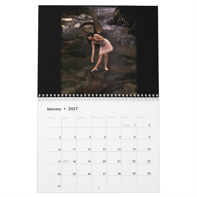 Fairies, A 2013 Calendar (Jan 2027)